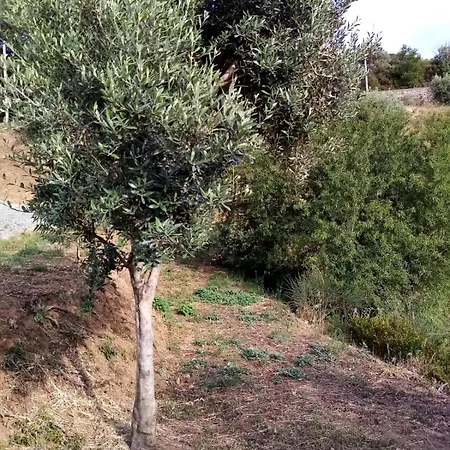 Glamping - La Giara Tente de luxe *